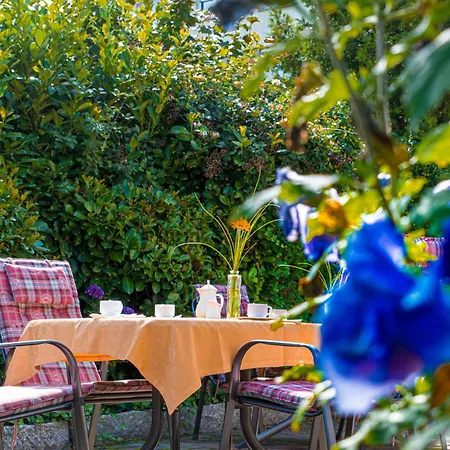 Hotel Kishotel Am Kurpark Bad Soden-Salmuenster