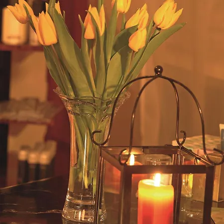 Kishotel Am Kurpark Bad Soden-Salmünster