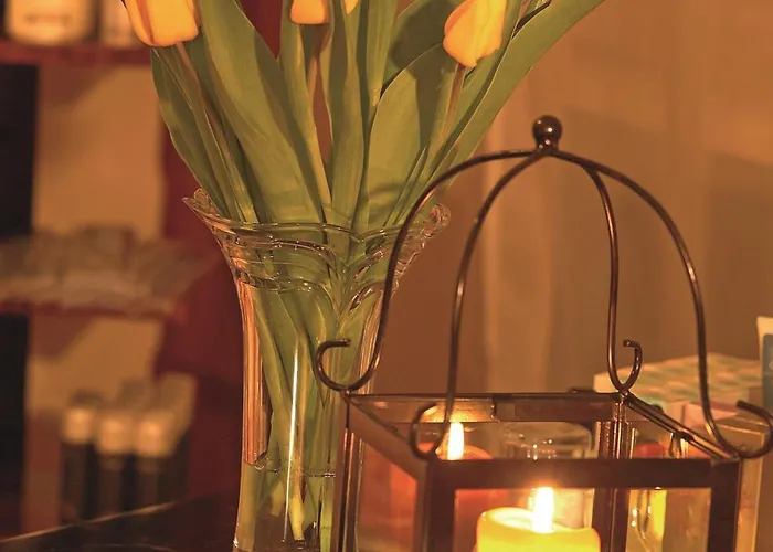 Kishotel Am Kurpark Bad Soden-Salmünster